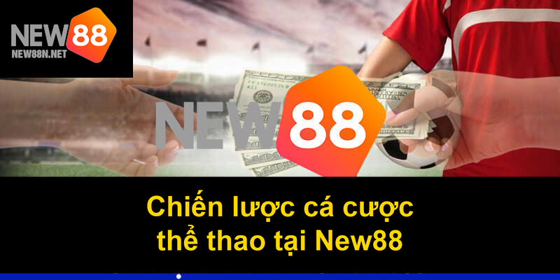 Chiến lược cá cược thể thao tại New88